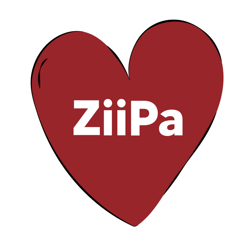 5 choses à savoir avant de craquer pour ZiiPa